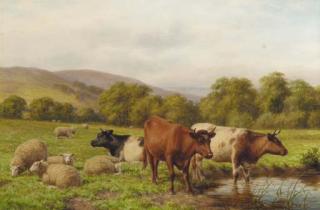 Dixon Clark - Cattle and sheep resting in a water meadow