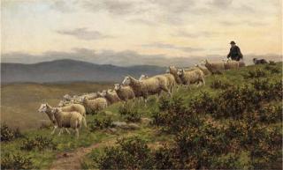 Dixon Clark - Herding the flock