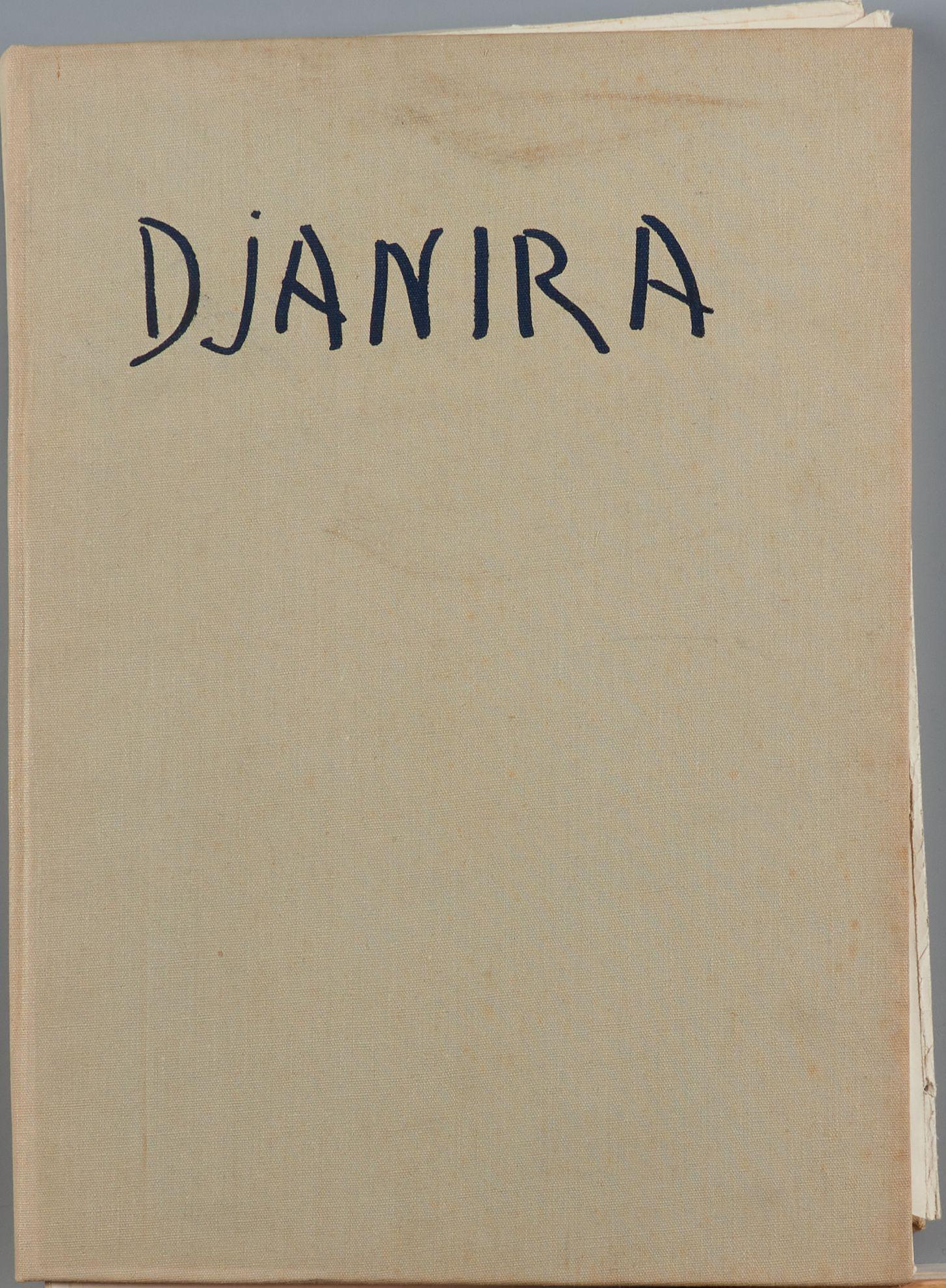 Djanira - 67 Color Screenprints