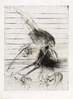 Djuric Miodrag Dado - Untitled