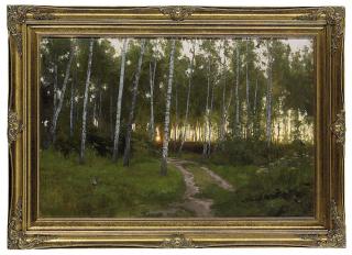 Dmitri Kalujni - Sunset through birch trees