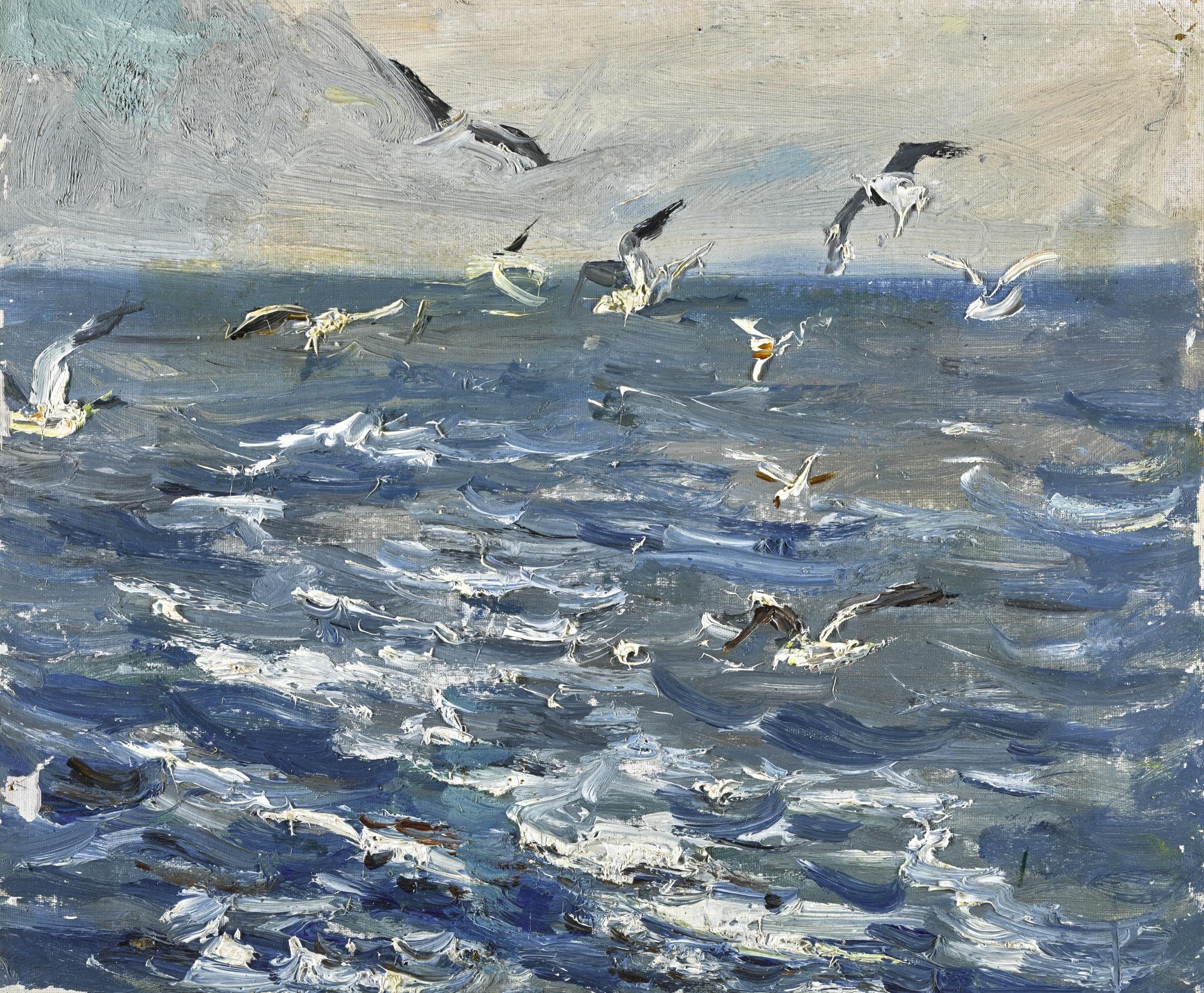 Dmitri Nalbandian - Seagulls Over The Mediterranean