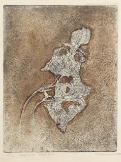 Dmitri Plavinsky - Iris