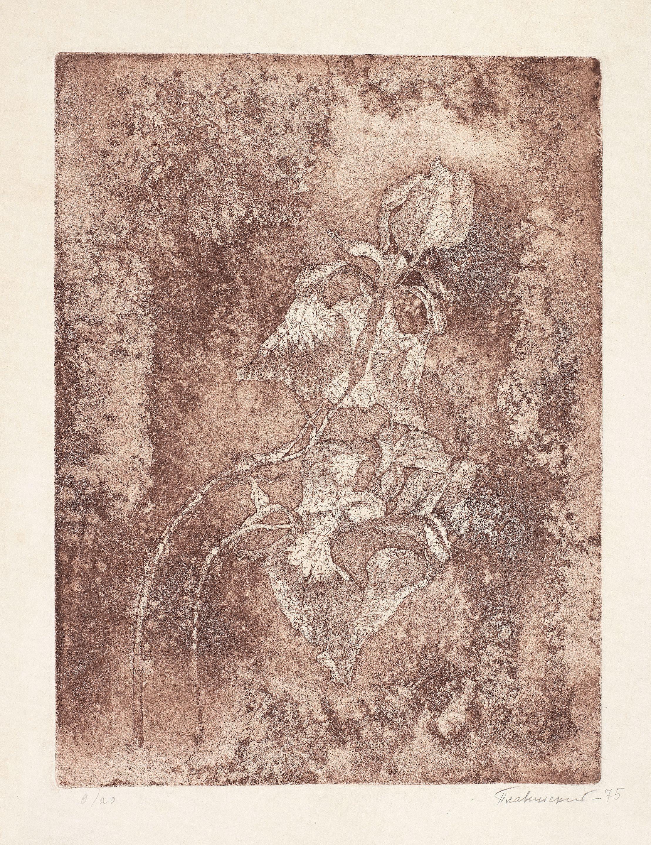 Dmitri Plavinsky - Iris