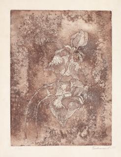 Dmitri Plavinsky - Iris