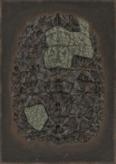 Dmitri Plavinsky - Schildkrötenpanzer.