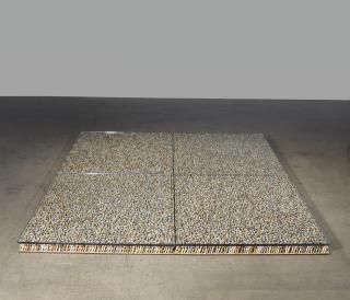 Do-Ho Suh - Floor Module