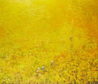 Do Xuan Doan - The Village of Yellow Flowers