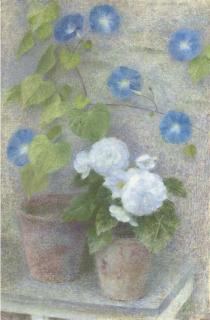 Dod Procter, R.A. - Ipomea And Begonia