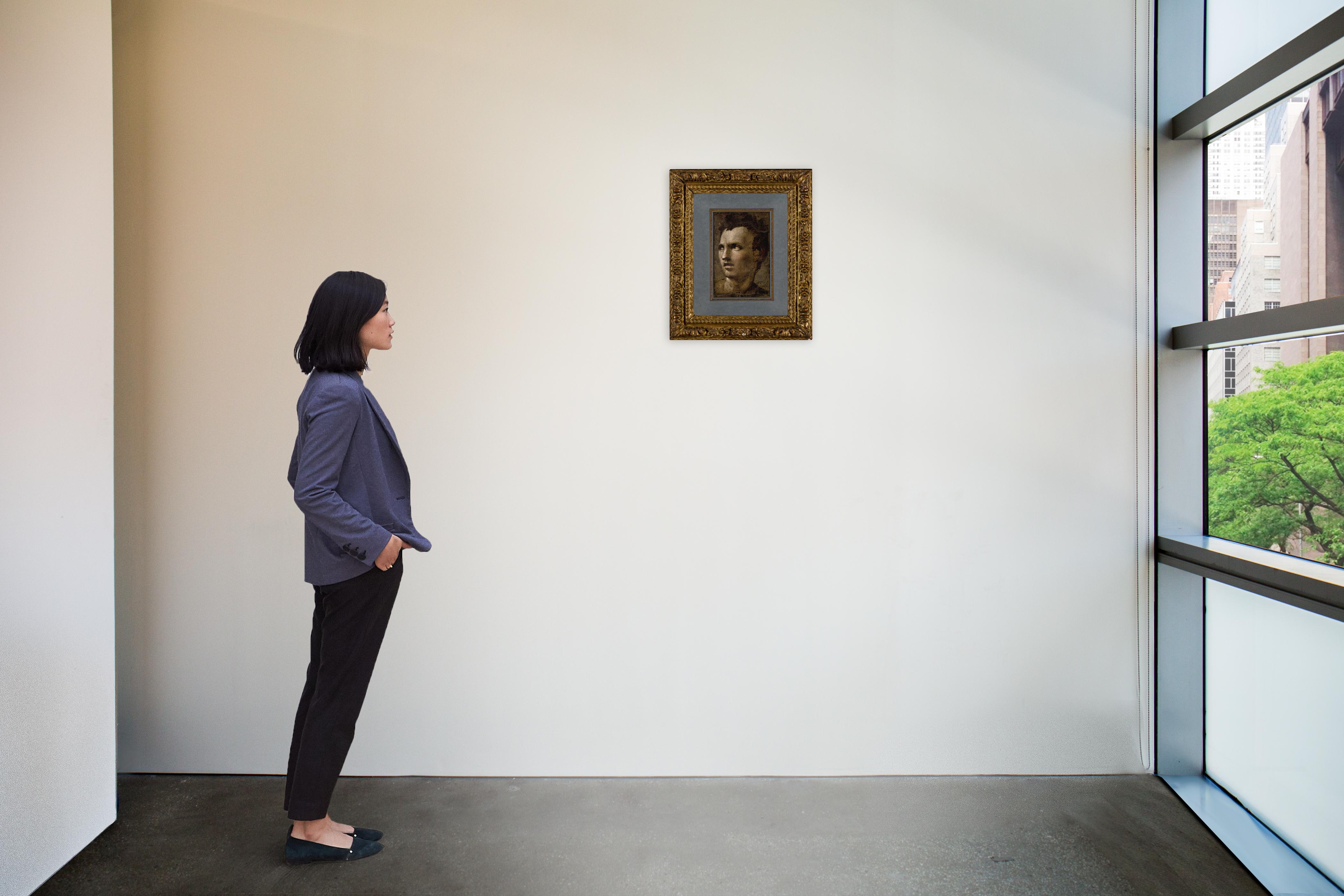Domenico Beccafumi - Head of a young man looking to the left
