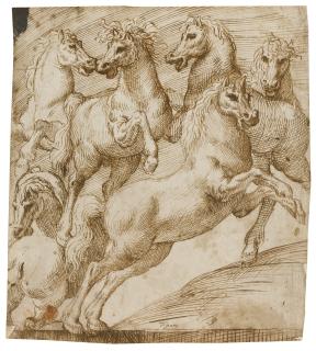 Domenico Campagnola - A Group Of Rearing Horses