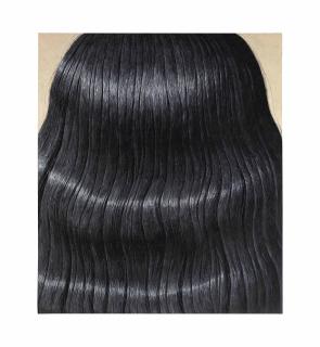 Domenico Gnoli - Black Hair