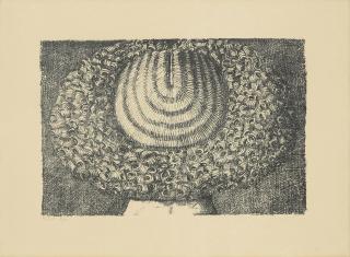 Domenico Gnoli - Frauenkopf (Chevelure)