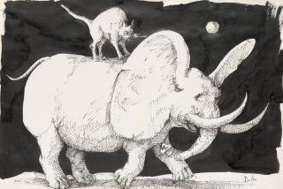 Domenico Gnoli - Il gatto e l\'elefante