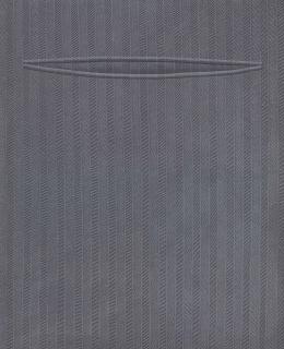 Domenico Gnoli - Pocket