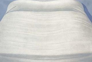 Domenico Gnoli - White Bed