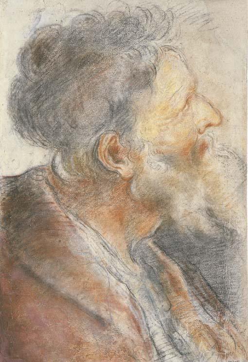 Domenico Maria Canuti - The head of a bearded old man looking up to the right