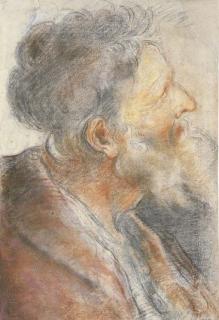 Domenico Maria Canuti - The head of a bearded old man looking up to the right