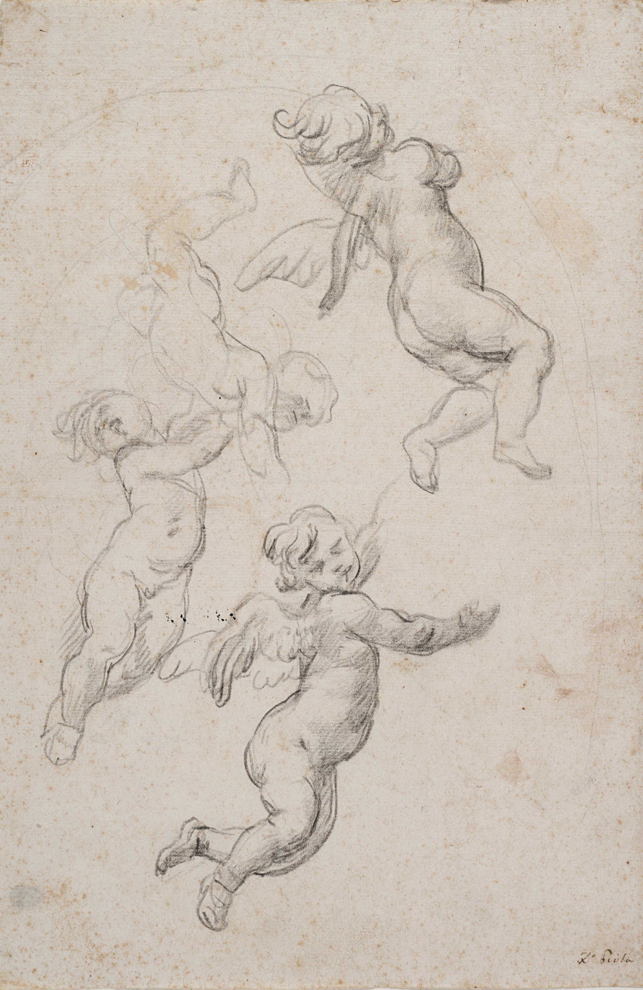 Domenico Piola - Four studies for angels