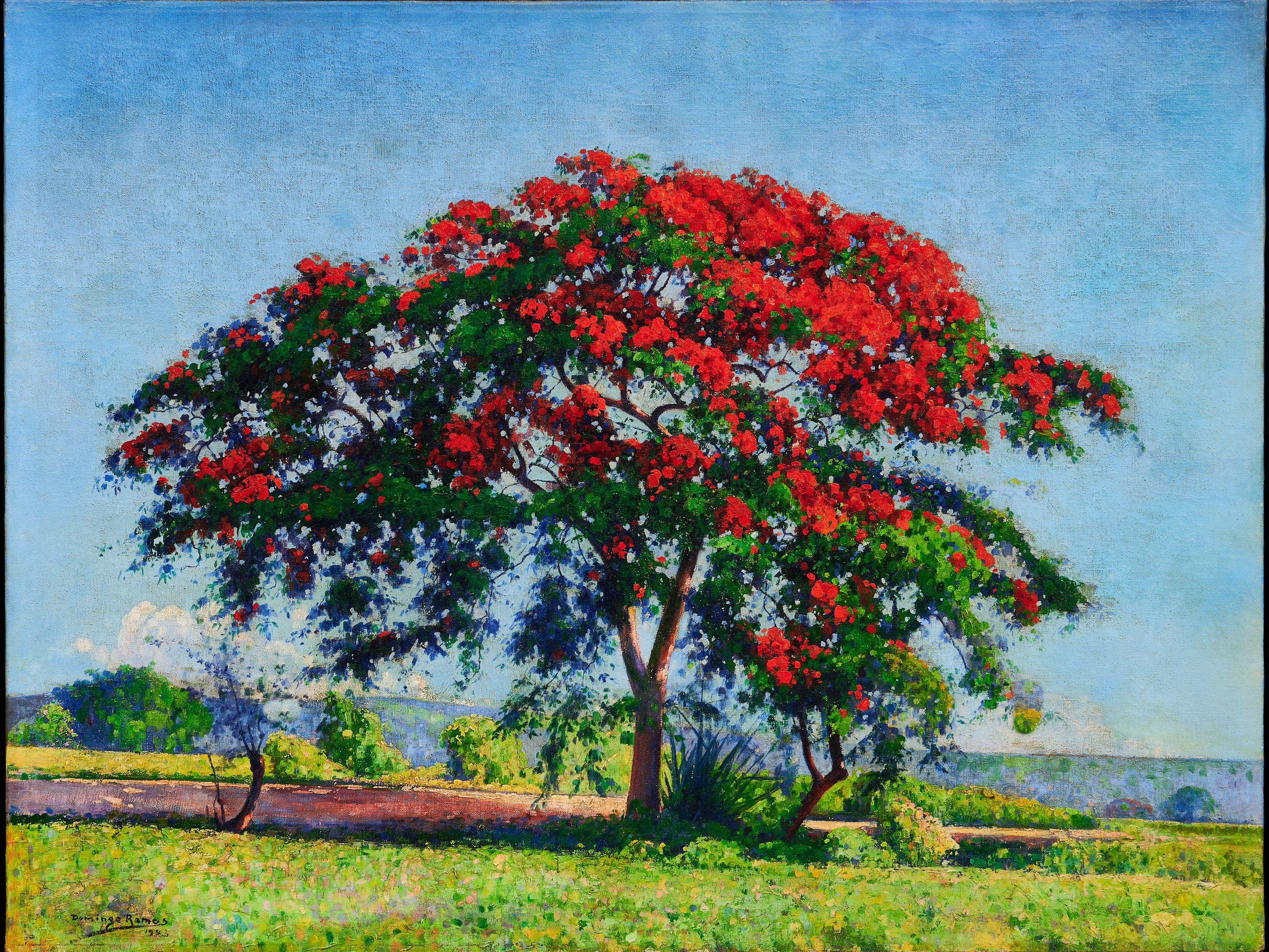 Domingo Enriques Ramos - Paisaje con Flamboyán 30 x 39 1/2 in. (76.2 x 100.3 cm) framed 42 1/4 x 52 x 3 1/4 in.