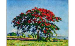 Domingo Enriques Ramos - Paisaje con Flamboyán 30 x 39 1/2 in. (76.2 x 100.3 cm) framed 42 1/4 x 52 x 3 1/4 in.