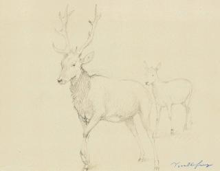 Dominique-Felix de Vuillefroy - Une biche et un chevreuil