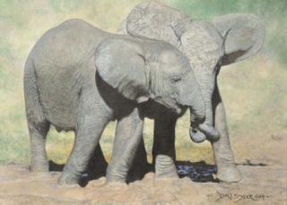 Don Styler - A game in the mud