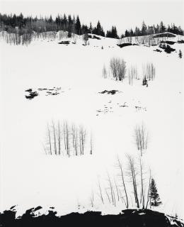 Don Worth - Aspen Trees and Snow, Colorado, 1957