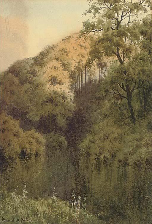 Donald A. Paton - Sunlit Trees