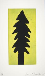 Donald Baechler - Blue Spruce, Potted Plant, Flower (3 works)