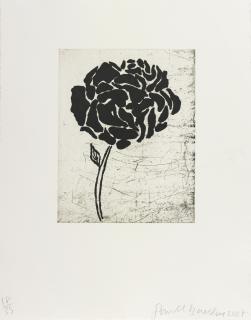 Donald Baechler - Five Flowers