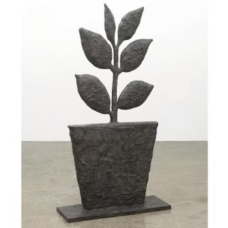 Donald Baechler - Plants