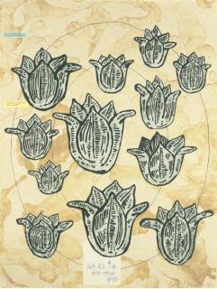 Donald Baechler - [Untitled], from Flowers