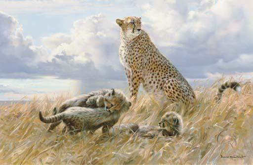 Donald Grant - A Cheetah and her Cubs