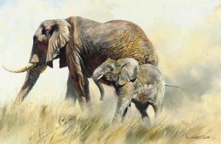 Donald Grant - A Mother Elephant And Her Calf
