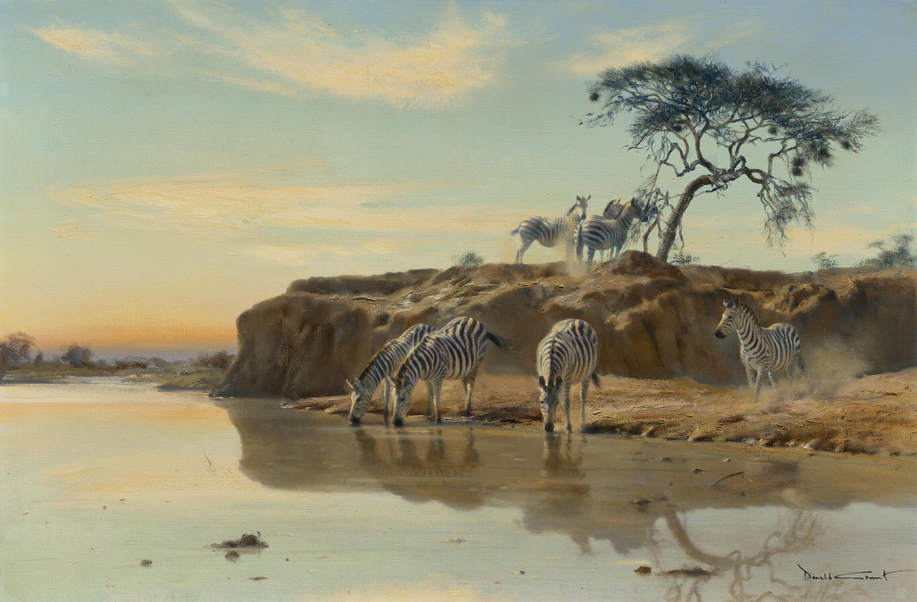 Donald Grant - African Dream