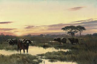 Donald Grant - African sunset