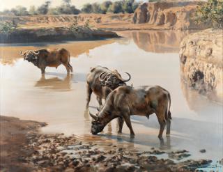 Donald Grant - Buffalo at the Watering Hole