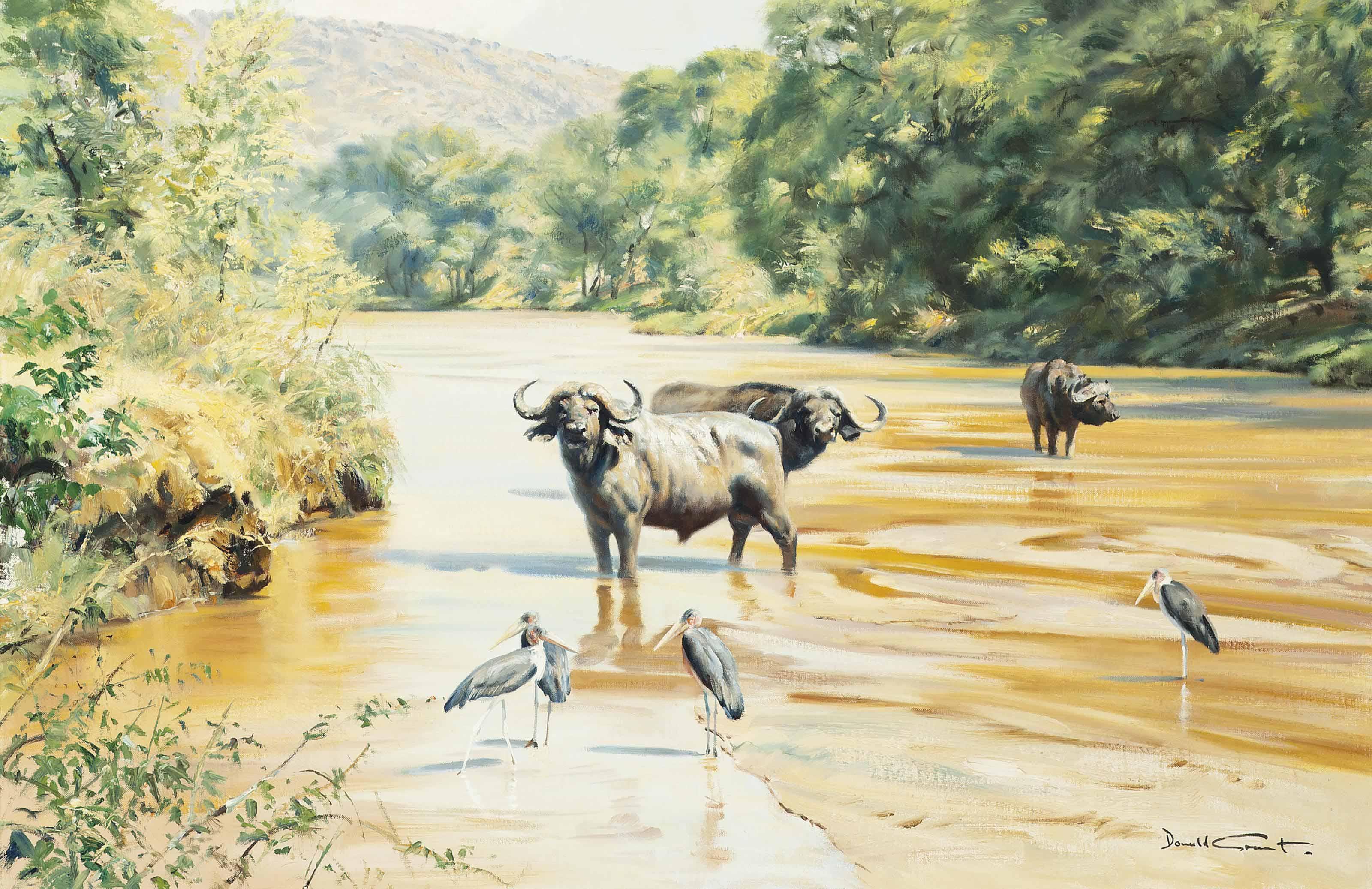 Donald Grant - Cape Buffalo With Maribou Stork