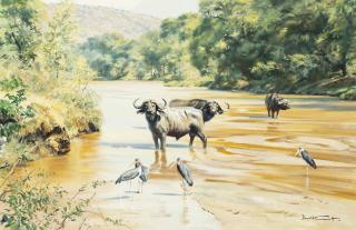 Donald Grant - Cape Buffalo With Maribou Stork