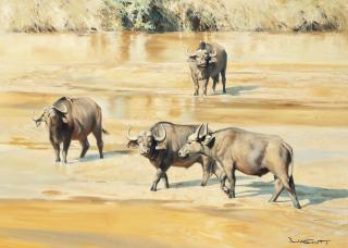 Donald Grant - Cape Buffalo