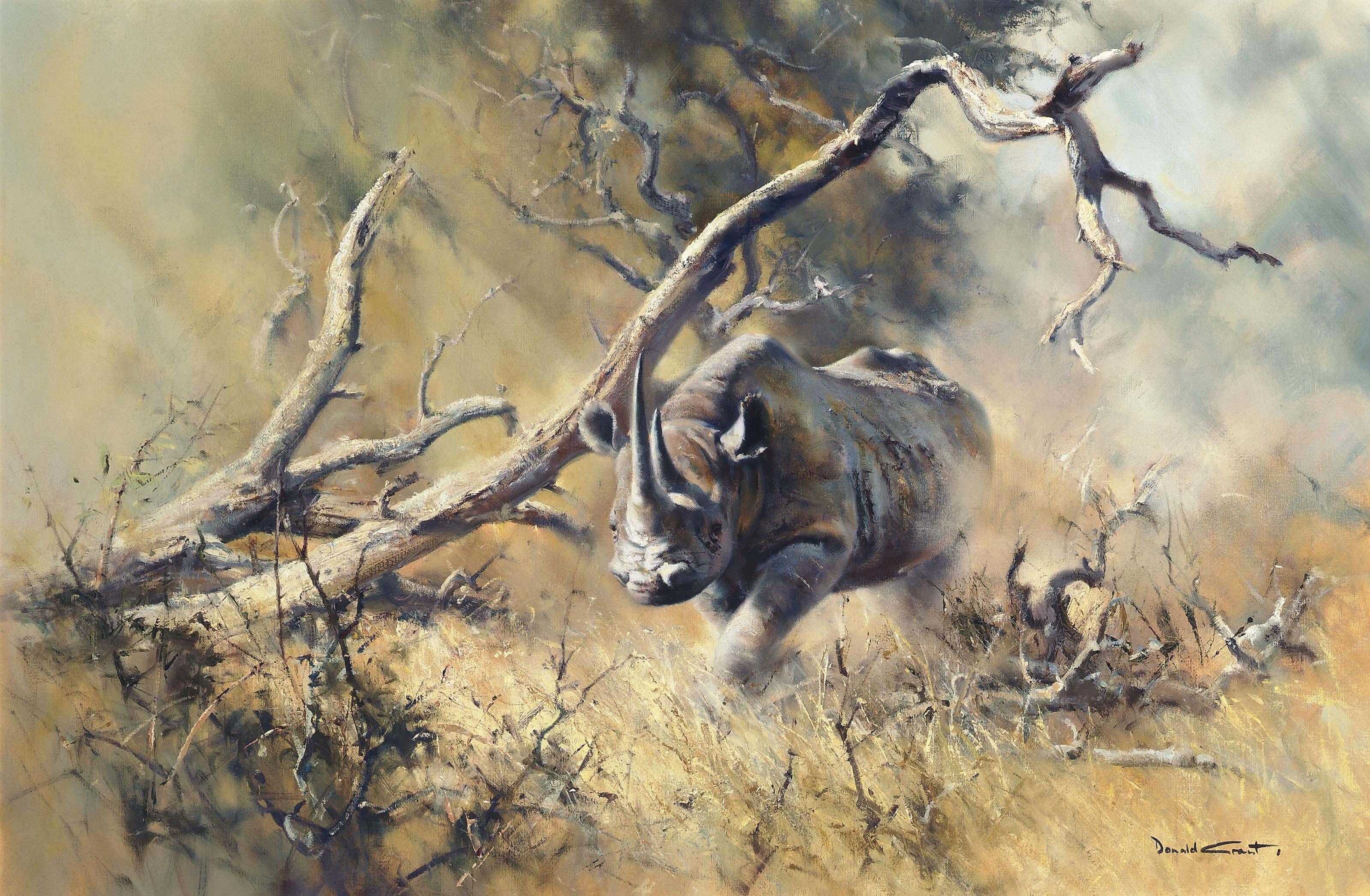 Donald Grant - Charging rhino