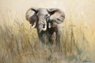 Donald Grant - Elephant Emerging
