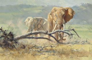 Donald Grant - Elephants browsing