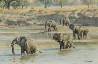 Donald Grant - Elephants crossing a river