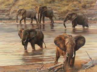 Donald Grant - Elephants