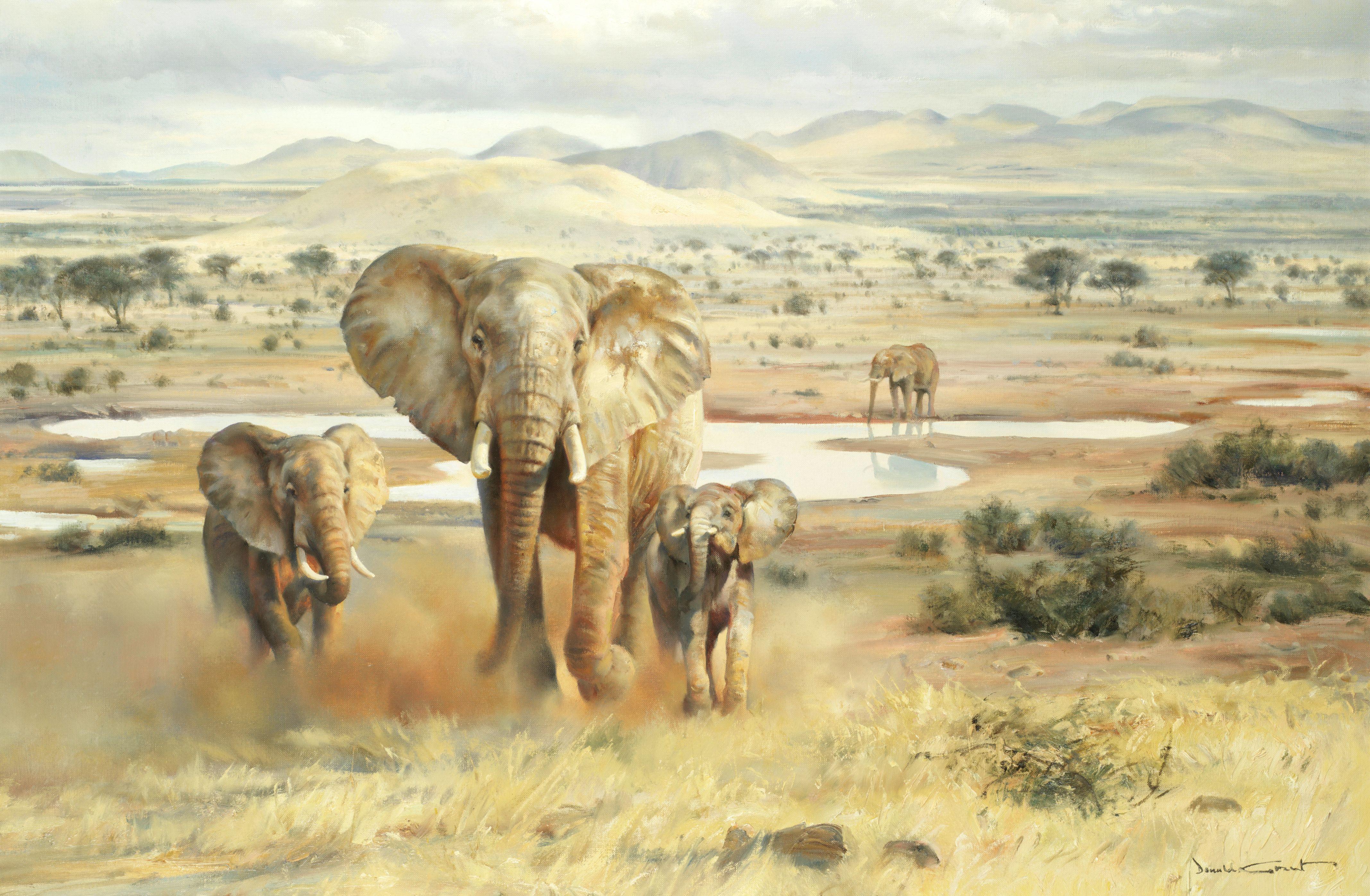 Donald Grant - Elephants