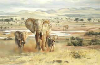 Donald Grant - Elephants