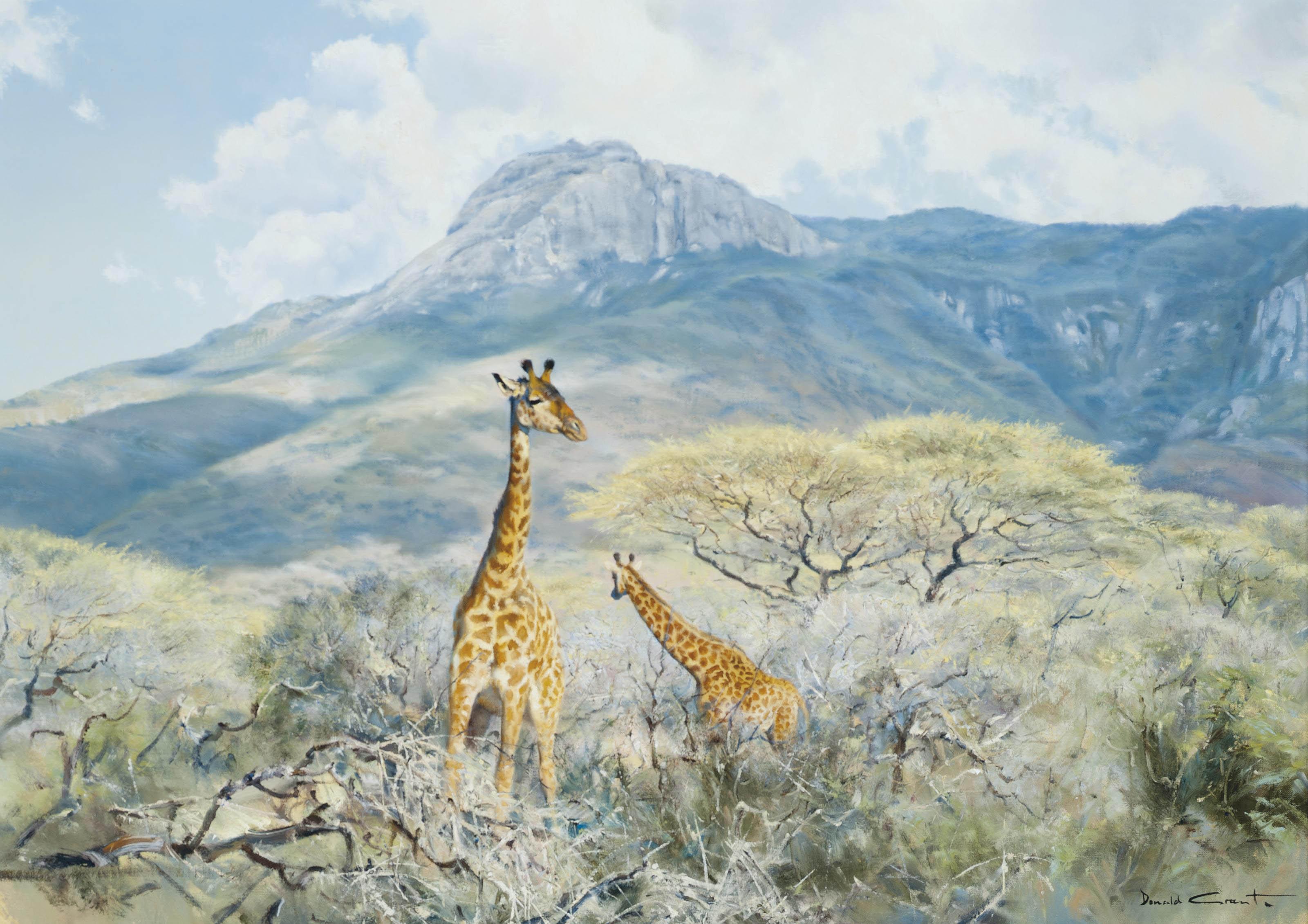 Donald Grant - Giraffes