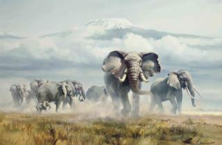 Donald Grant - Kilamanjaro